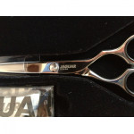 Jaguar "Diamond " 5.5" Champion Class Gold Line scissor.